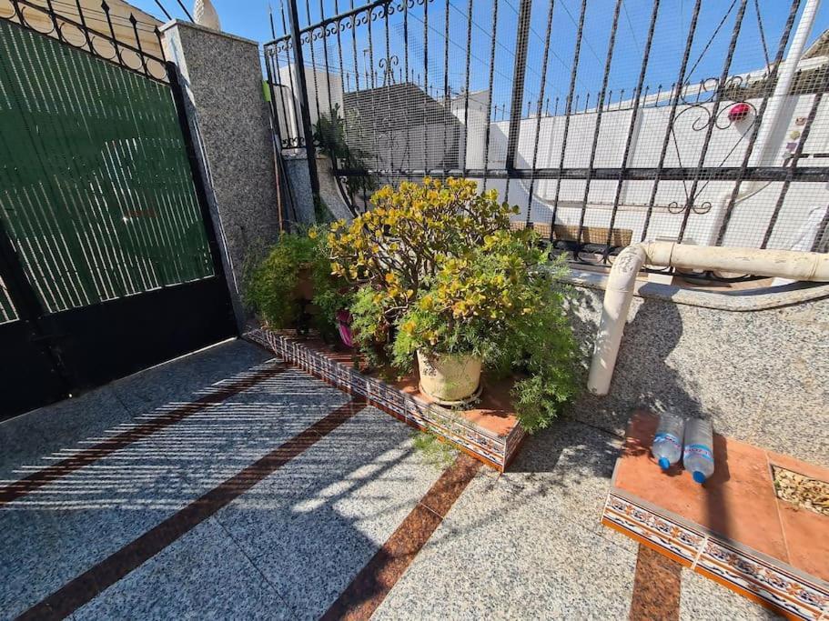 Marble Manor Guest House Los Alcazares Bagian luar foto